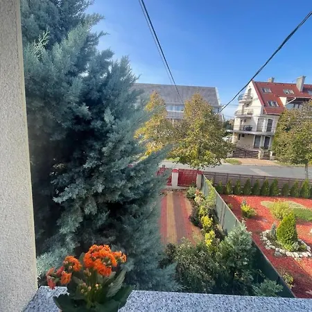 Apartman Sofi